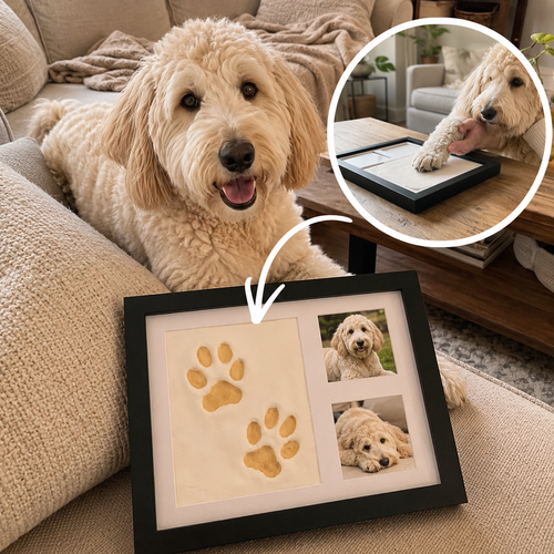 Clay Paw Print Kit