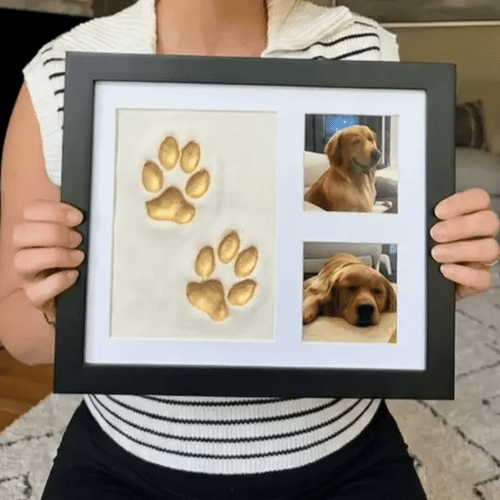 Clay Paw Print Kit